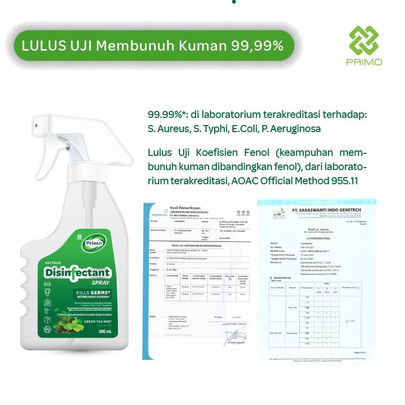 Disinfectant Air Surface Spray Greentea Mint 4L - Non Alkohol