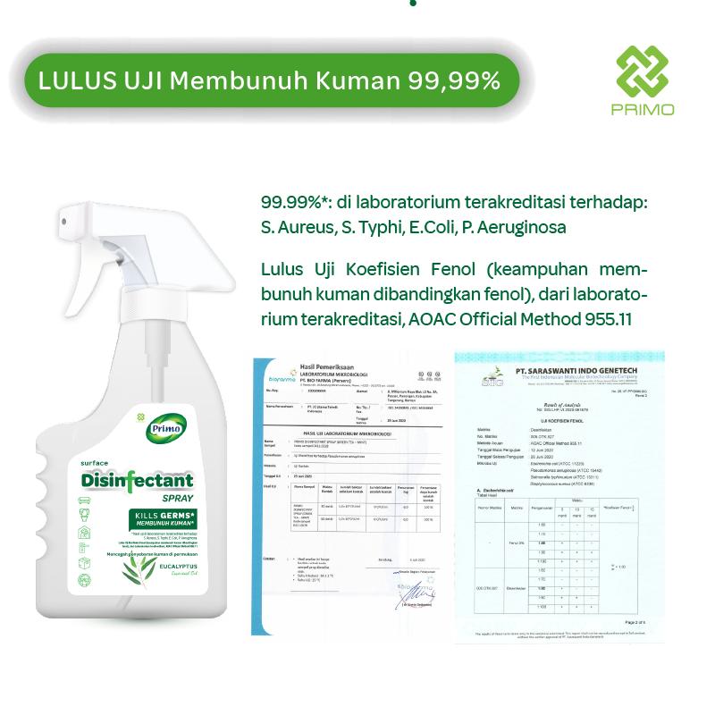 Disinfectant Air Surface Spray Eucaliptus 500mL - Non Alkohol