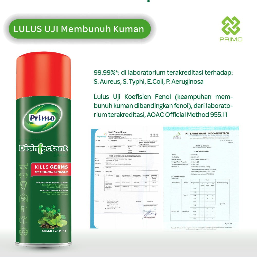 Disinfectant Spray Fogging Air & Surface Greentea Mint 500mL