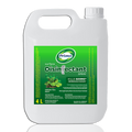 Disinfectant Surface Spray Greentea Mint 4L Non Alkohol