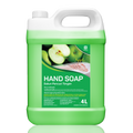 Handsoap Apple 4L