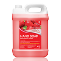 Handsoap Strawberry 4L
