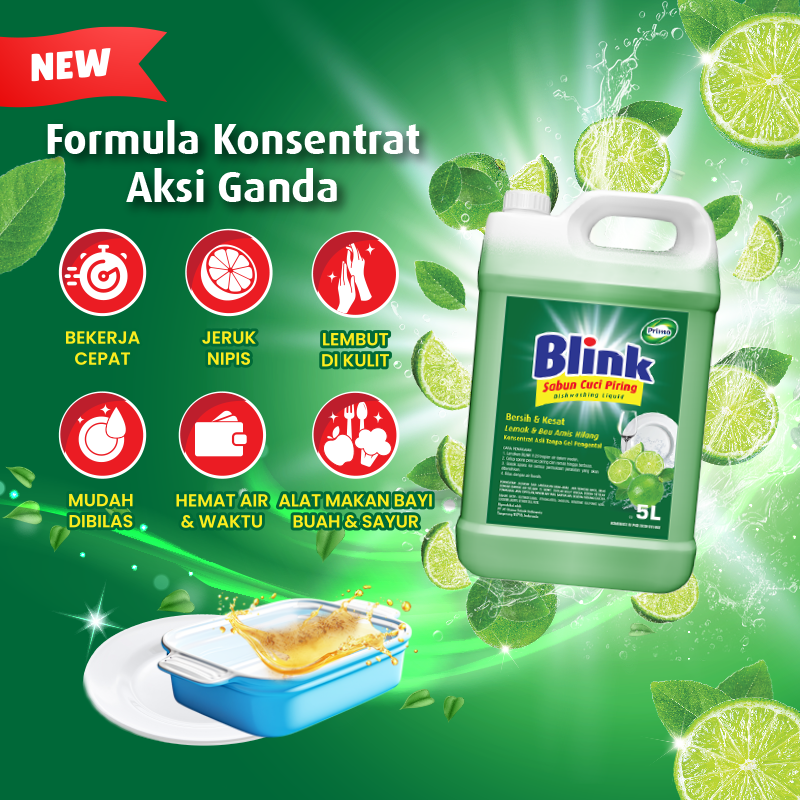 Blink Dishwashing 5L